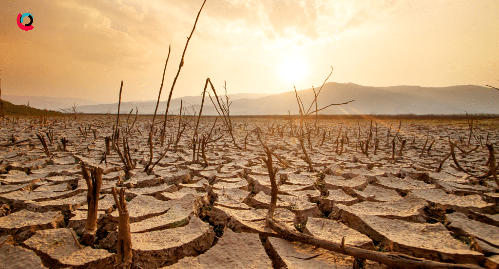 Riskline Informer - the impacts of El Nino
