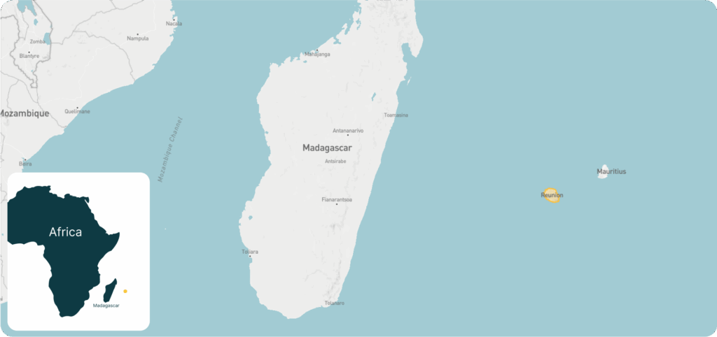 Chikungunya outbreak in Reunion