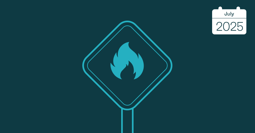 Wildfires and travel disruptions 2025