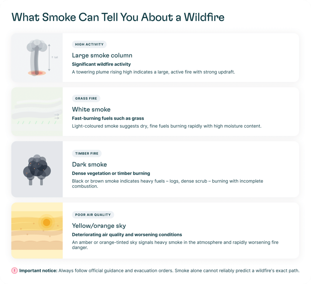 What Smoke